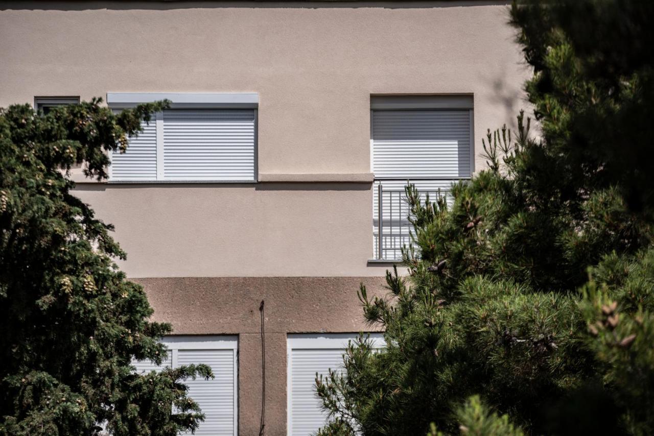טרביניה Apartman Arijana מראה חיצוני תמונה