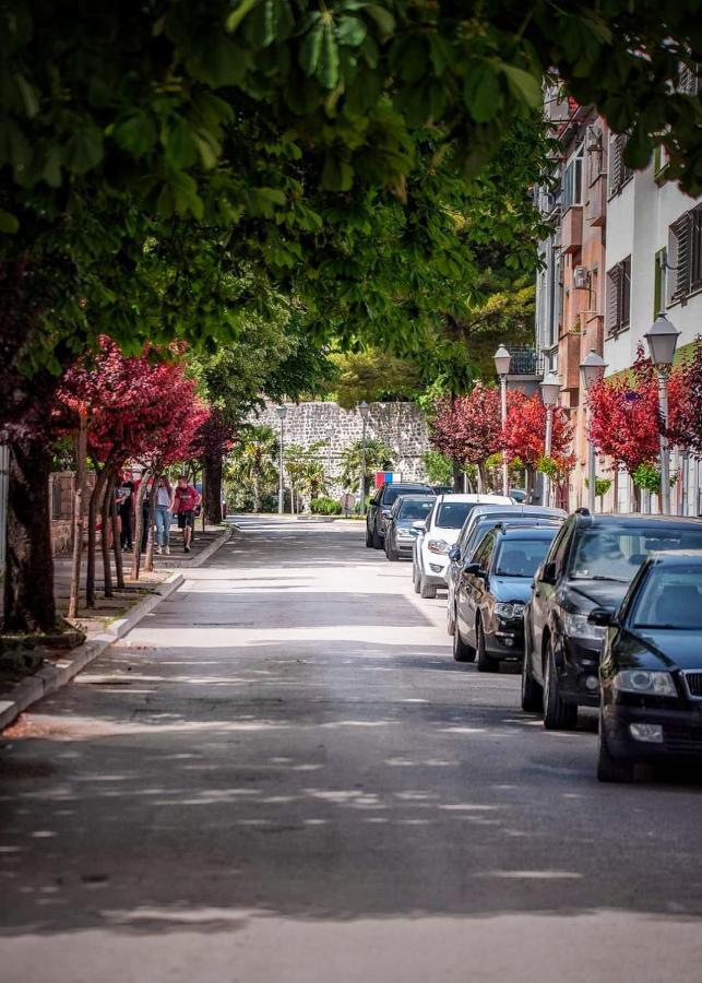 טרביניה Apartman Arijana מראה חיצוני תמונה